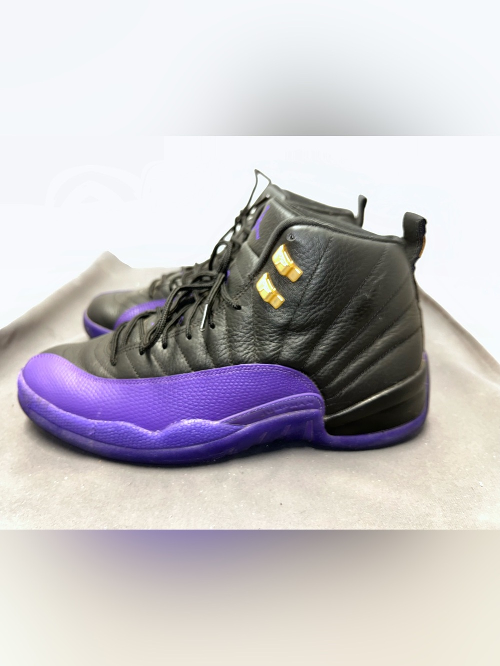 NIKE CT8013-057 Air Air Jordan 12 Retro Field Purple Size 12.5. Great Condition